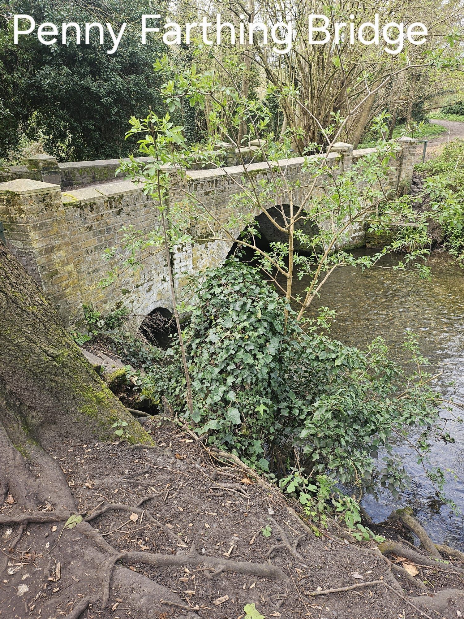 Penny Farthing Bridge